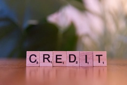Credit score